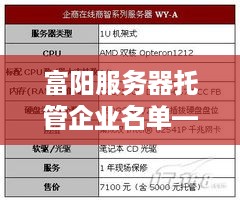 富阳服务器托管企业名单——数字时代下的数据守护者