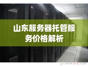 山东服务器托管服务价格解析