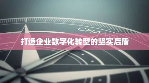 打造企业数字化转型的坚实后盾