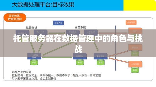 托管服务器在数据管理中的角色与挑战