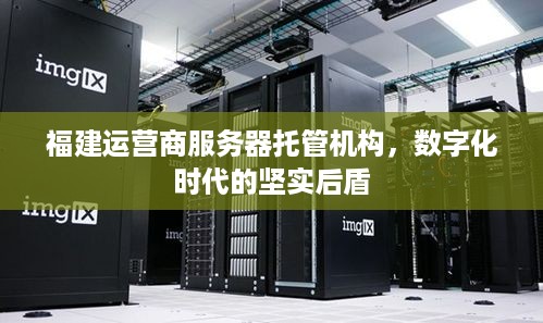 福建运营商服务器托管机构，数字化时代的坚实后盾