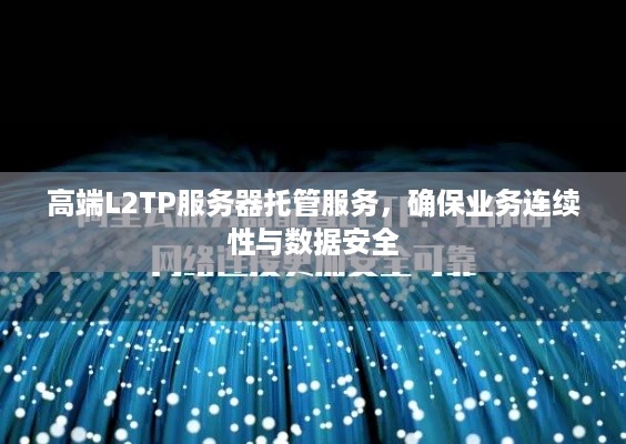 高端L2TP服务器托管服务，确保业务连续性与数据安全