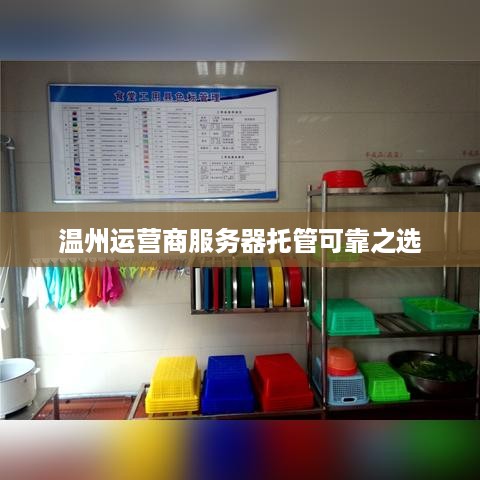 温州运营商服务器托管可靠之选