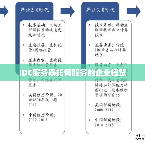 IDC服务器托管服务的企业概览