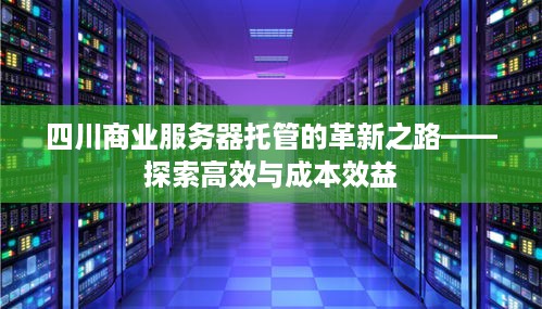 四川商业服务器托管的革新之路——探索高效与成本效益