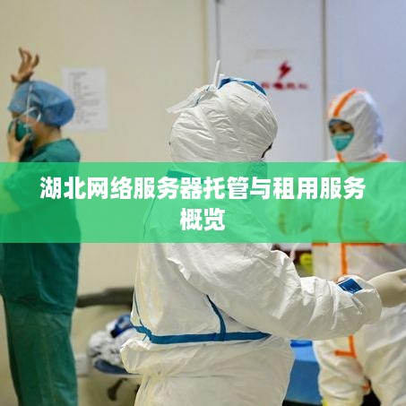 湖北网络服务器托管与租用服务概览