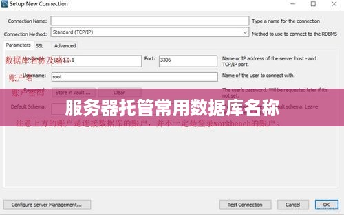 服务器托管常用数据库名称