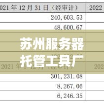 苏州服务器托管工具厂家——数字化时代的可靠伙伴