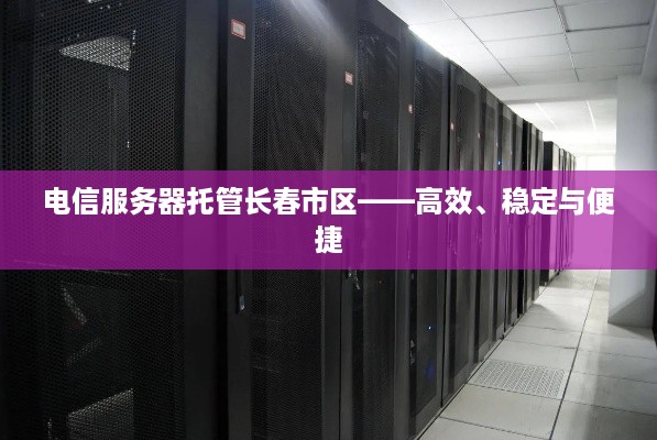 电信服务器托管长春市区——高效、稳定与便捷