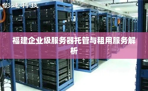 福建企业级服务器托管与租用服务解析