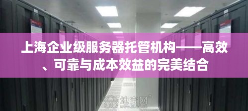 上海企业级服务器托管机构——高效、可靠与成本效益的完美结合