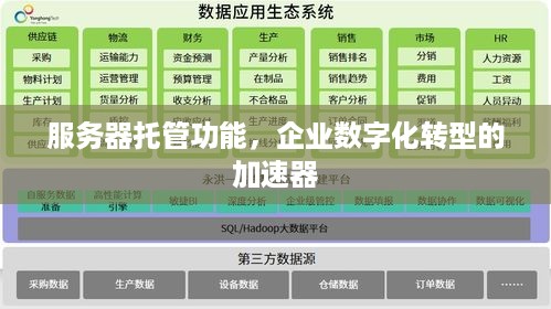 服务器托管功能，企业数字化转型的加速器