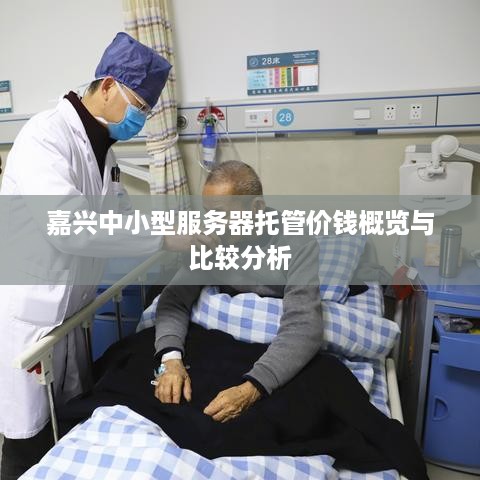 嘉兴中小型服务器托管价钱概览与比较分析