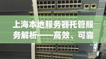 上海本地服务器托管服务解析——高效、可靠与成本效益