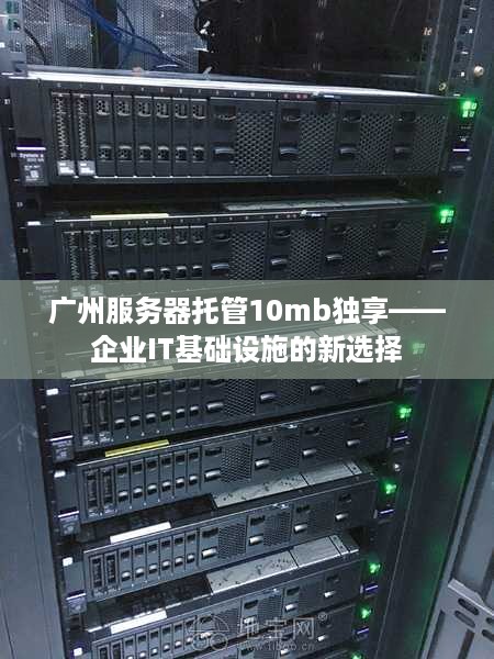 广州服务器托管10mb独享——企业IT基础设施的新选择