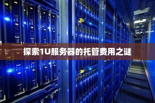 探索1U服务器的托管费用之谜