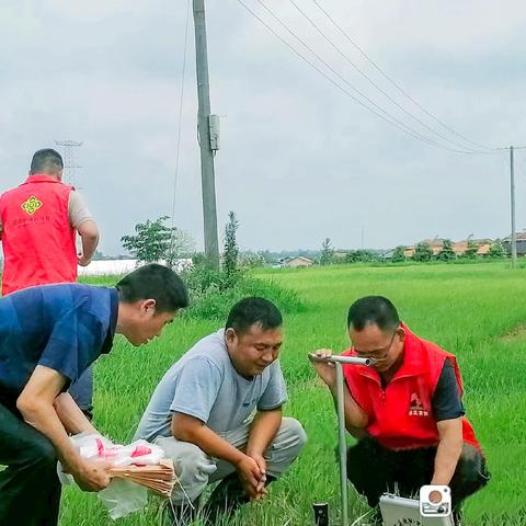 数据中心服务器托管成本的核算艺术