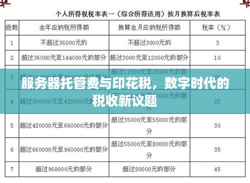 服务器托管费与印花税，数字时代的税收新议题