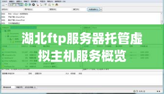 湖北ftp服务器托管虚拟主机服务概览