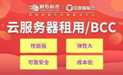 云时代的服务器托管新选择——100M云主机的高效部署与应用