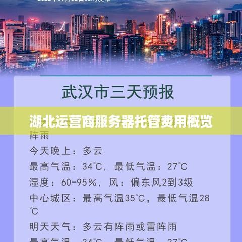 湖北运营商服务器托管费用概览