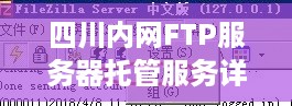 四川内网FTP服务器托管服务详解