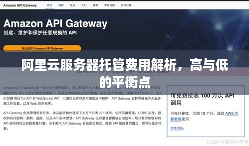 阿里云服务器托管费用解析，高与低的平衡点