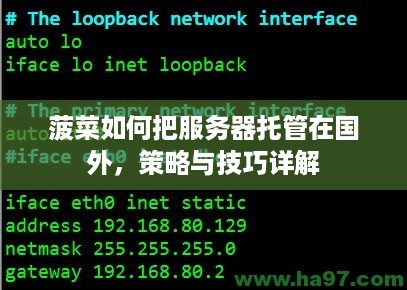 菠菜如何把服务器托管在国外，策略与技巧详解