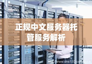 正规中文服务器托管服务解析