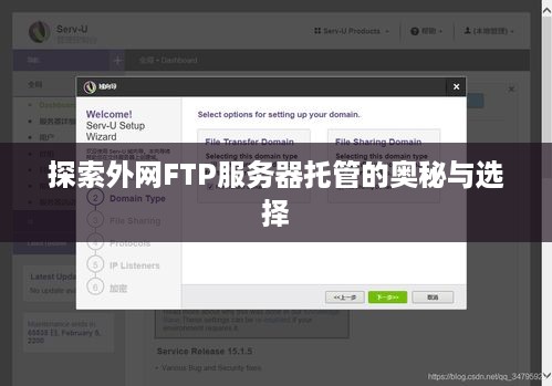 探索外网FTP服务器托管的奥秘与选择