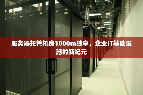 服务器托管机房1000m独享，企业IT基础设施的新纪元