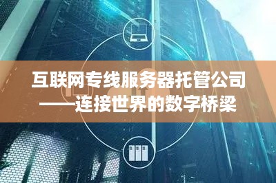 互联网专线服务器托管公司——连接世界的数字桥梁