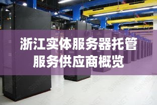 浙江实体服务器托管服务供应商概览