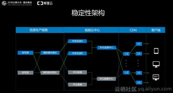 服务器托管在打击黑平台中的作用与挑战