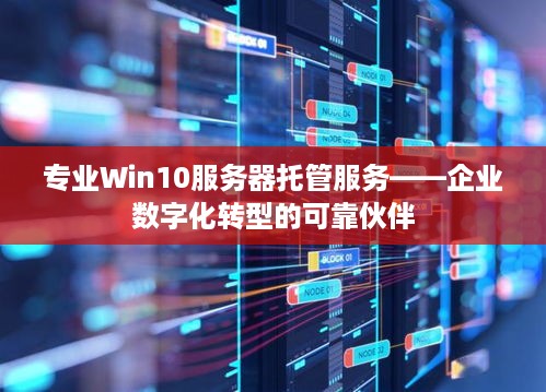 专业Win10服务器托管服务——企业数字化转型的可靠伙伴