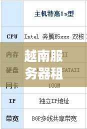 越南服务器租用托管费用概览