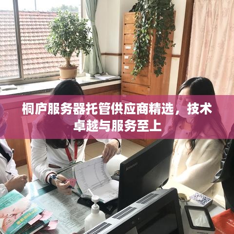 桐庐服务器托管供应商精选，技术卓越与服务至上