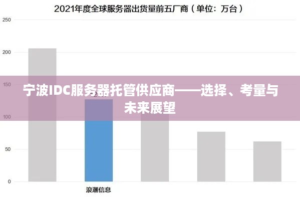 宁波IDC服务器托管供应商——选择、考量与未来展望