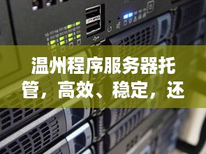 温州程序服务器托管，高效、稳定，还是经济实惠？