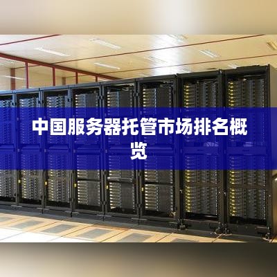 中国服务器托管市场排名概览