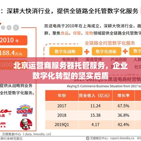 北京运营商服务器托管服务，企业数字化转型的坚实后盾