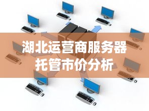 湖北运营商服务器托管市价分析