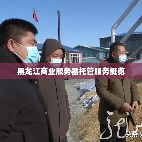 黑龙江商业服务器托管服务概览