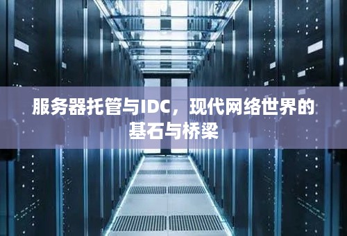 服务器托管与IDC，现代网络世界的基石与桥梁