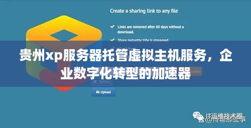 贵州xp服务器托管虚拟主机服务，企业数字化转型的加速器