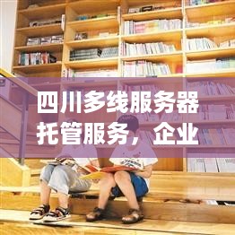 四川多线服务器托管服务，企业数据安全和效率的保障