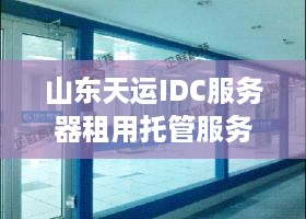 山东天运IDC服务器租用托管服务概览