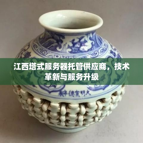 江西塔式服务器托管供应商，技术革新与服务升级