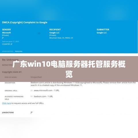 广东win10电脑服务器托管服务概览