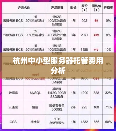 杭州中小型服务器托管费用分析